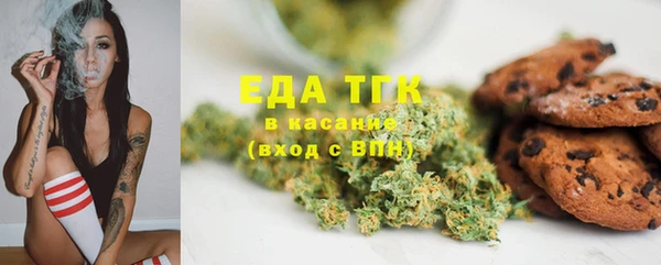 тгк Медногорск
