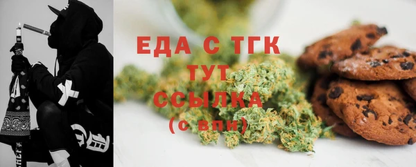 тгк Медногорск