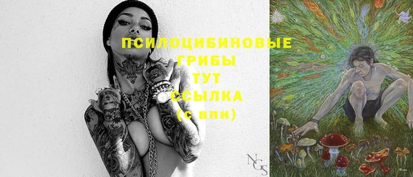 твердый Протвино