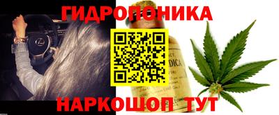 спиды Канаш