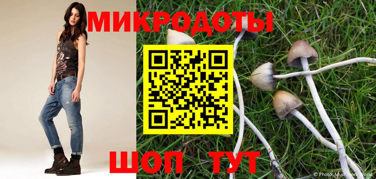 Псилоцибиновые грибы мухоморы Луховицы