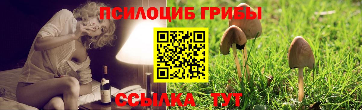 Псилоцибиновые грибы Psilocybine cubensis  Галлюциногенные грибы прущие грибы  Вход с VPN  Луховицы 